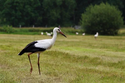 Comment définir une stratégie de croissance adaptée à sa PME ?