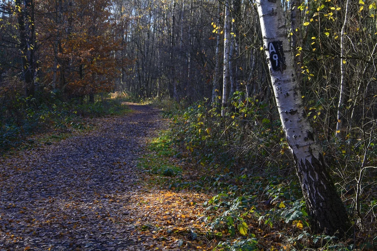 L’authenticité comme stratégie de différenciation